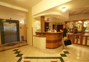 Hotel Panorama Rychnov nad Kn�nou - recepce